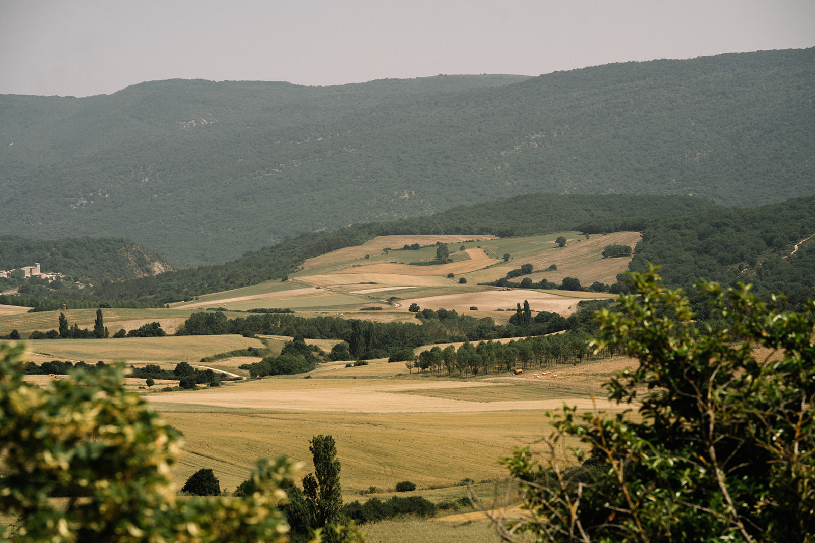 Valle de Améscoa con campos y montañas